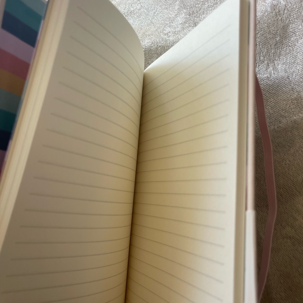 Carpe Diem Ballerina Pink Soft Cover Journal - Picture 3 of 5